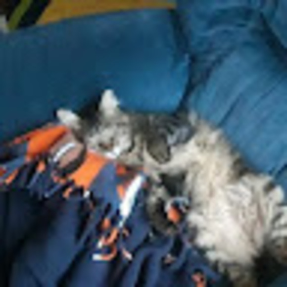 Meet your Posher, Liz - Picture 1 of 1